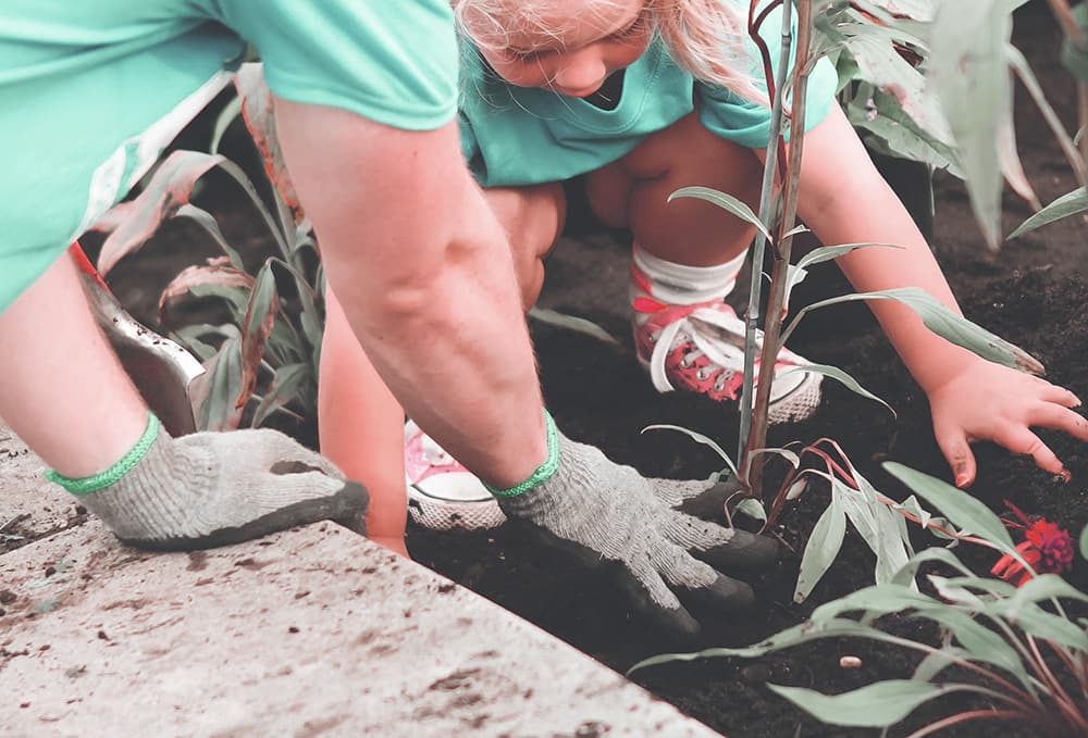 Planting a tree as part of the Carbon Neutral Plant-a-Tree program
